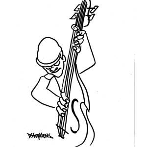 Playing the Bass by Don Stephens