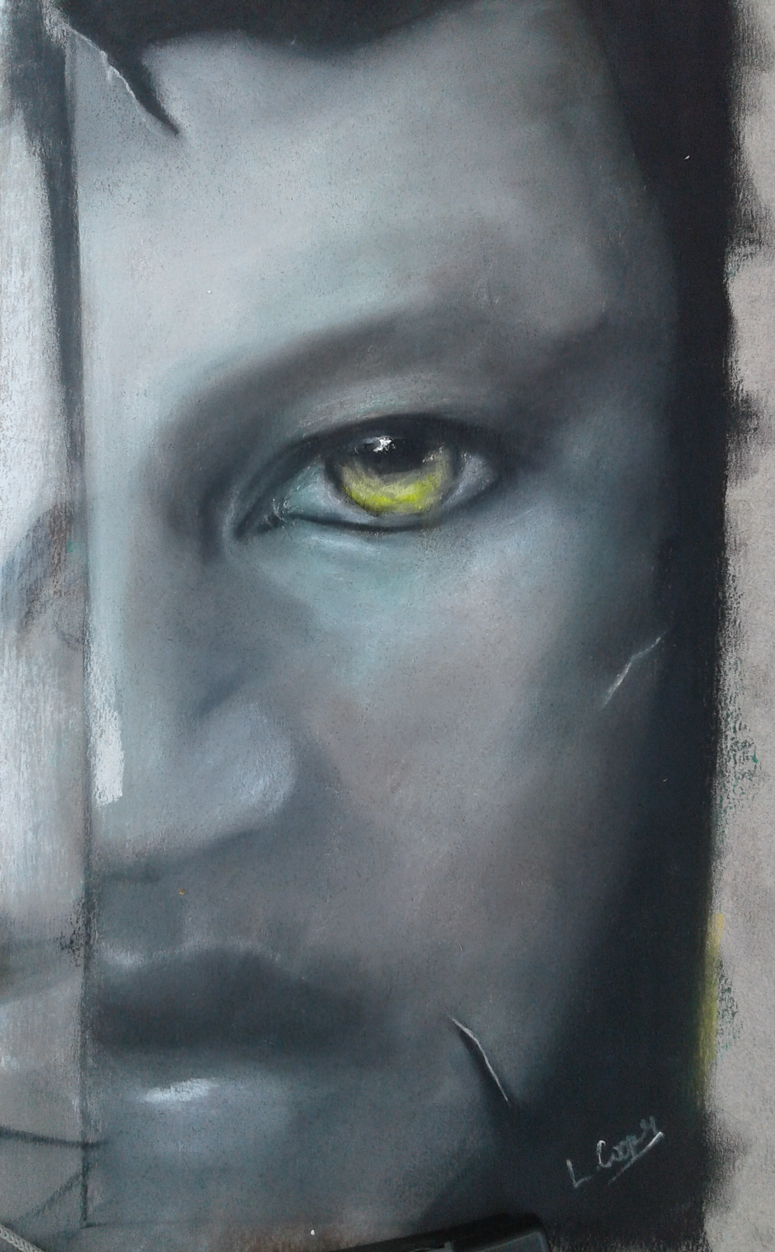 Half by Laurie Cooper