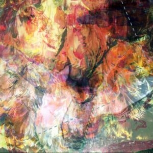 Garden by Sanaa