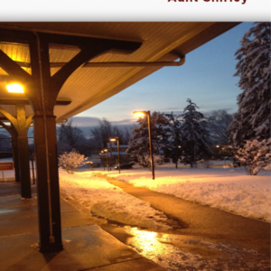 Fortitudes – by Mercer Redcross - Book/Download