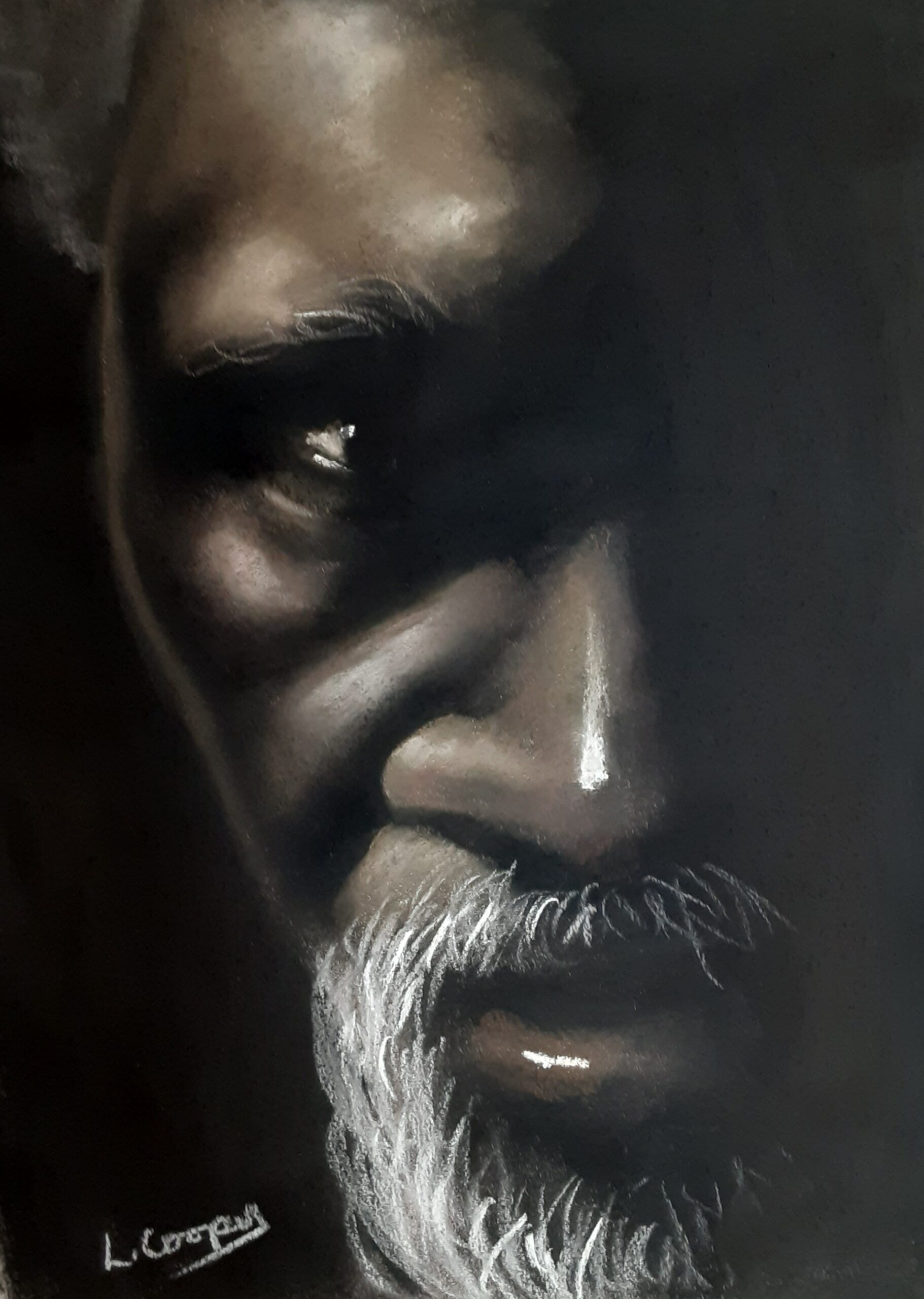 Wise by Laurie Cooper