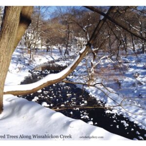 Wissahickon Creek by Al Todd