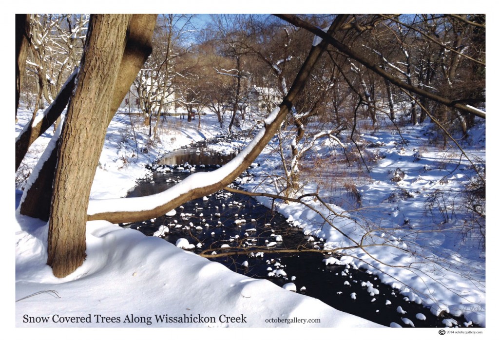 Wissahickon Creek by Al Todd